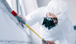 Best Residential Pest Control  in Donora, PA